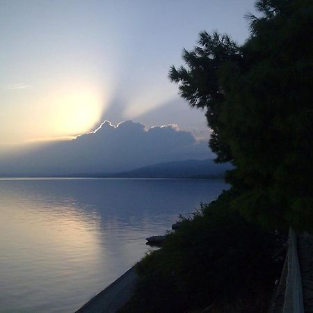 Hotel Cokkinis Mégara Dış mekan fotoğraf