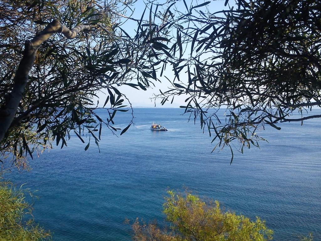 Hotel Cokkinis Mégara Dış mekan fotoğraf